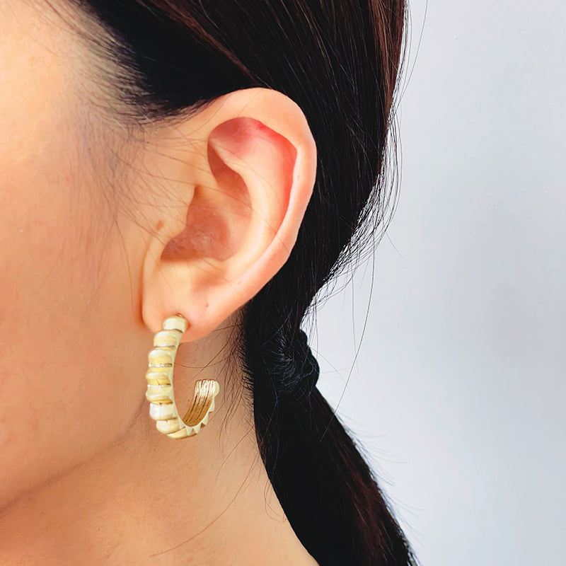 Earrings 4-1-17