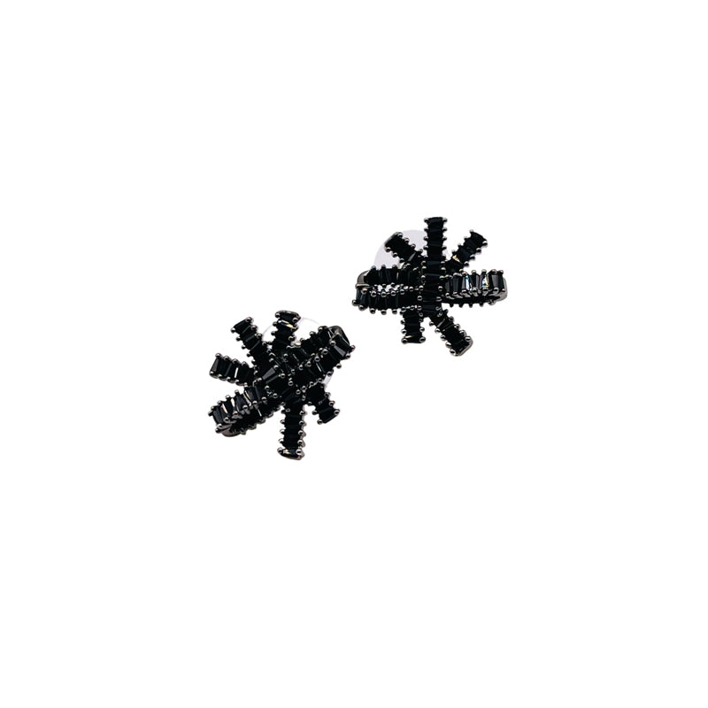 Earrings 4-1-3