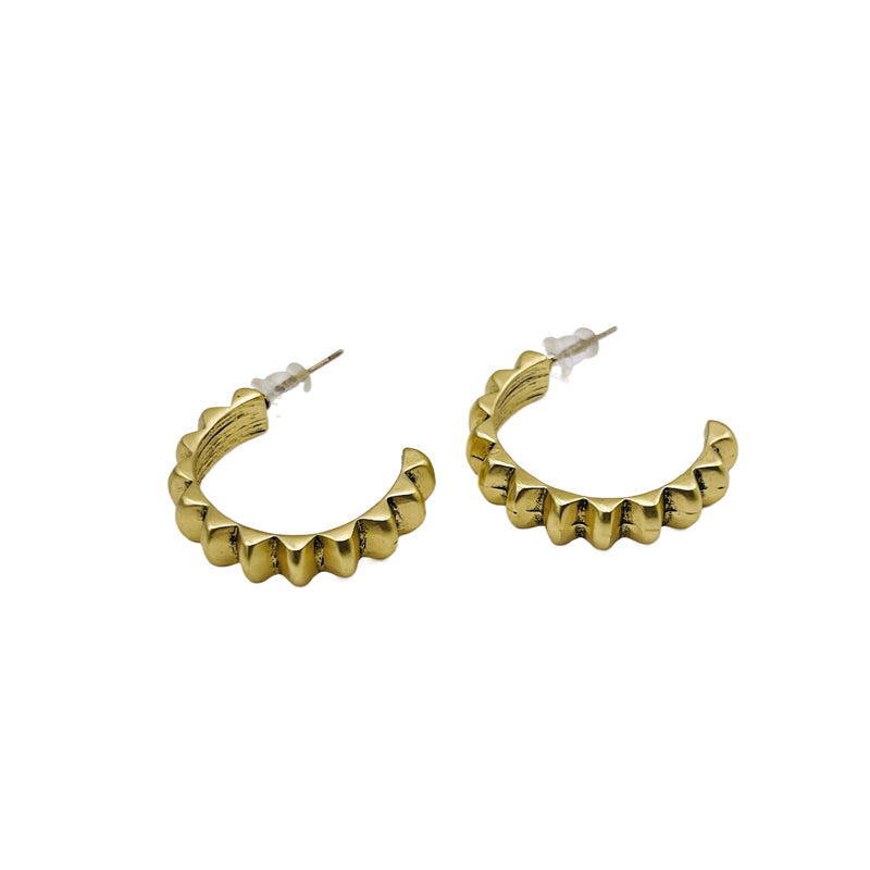 Earrings 4-1-17